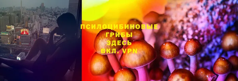 Галлюциногенные грибы MAGIC MUSHROOMS  Верхняя Салда 